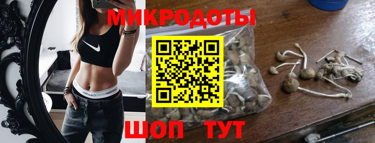Галлюциногенные грибы MAGIC MUSHROOMS Тихвин