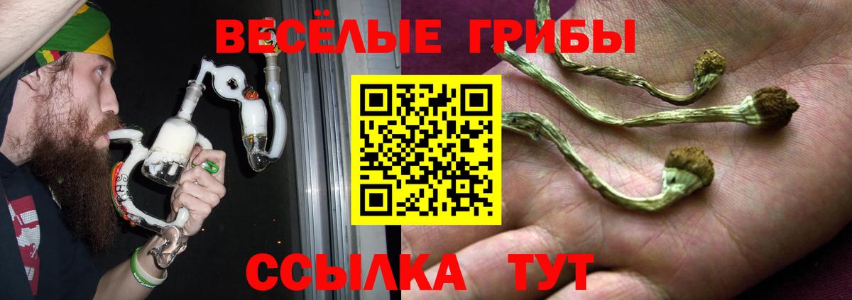Галлюциногенные грибы Psilocybe  Галлюциногенные грибы Cubensis  Тихвин  Вход с VPN 